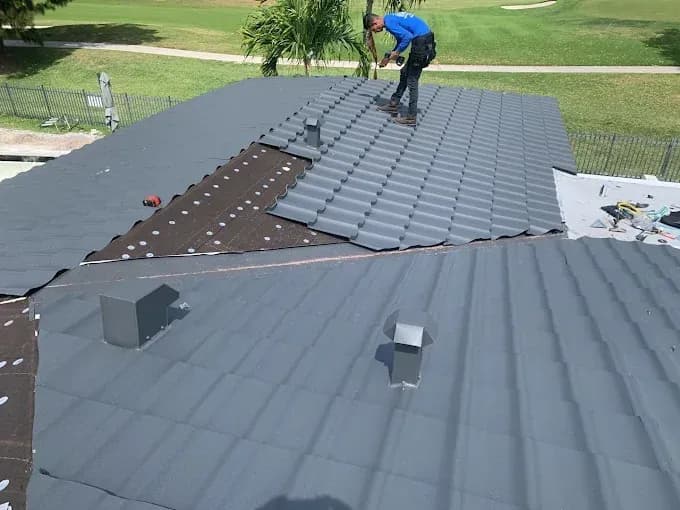 Metal Roof 3